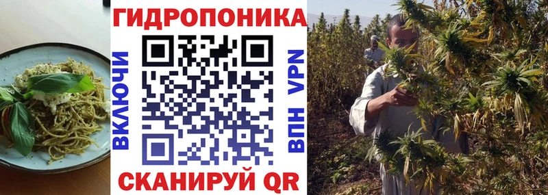 Печенье с ТГК марихуана  купить наркотики цена  Гатчина 