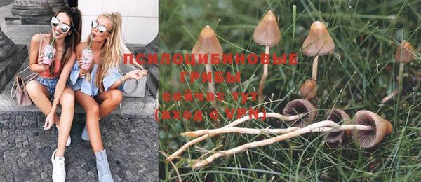 героин Няндома