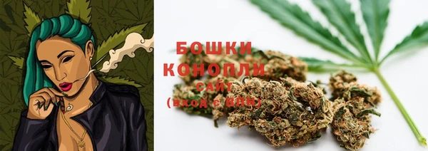 гидра Волоколамск