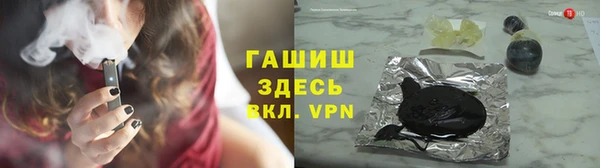 индика Сатка