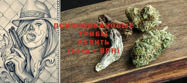 гидра Волоколамск