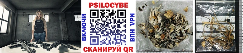 Псилоцибиновые грибы прущие грибы  где купить   Гатчина 